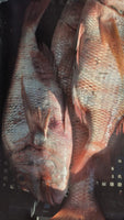 Striped Porgy (5Kg BOX, $35/KG)