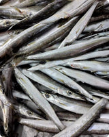 Barracuda Fresh ($28/Kg)