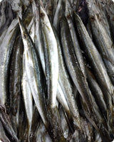 Barracuda Fresh ($28/Kg)