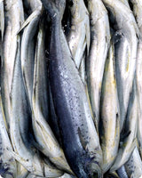 Lambouka, Mahi-Mahi Fresh ($26/kg)