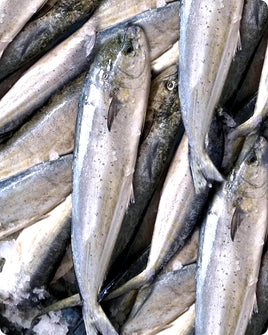 Lambouka, Mahi-Mahi Fresh ($26/kg)