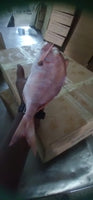 Pink Snapper Big Frozen ($17/Kg)