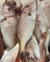 Porgy Big Frozen ($32/KG)