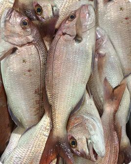 Porgy Big Frozen (6KG)