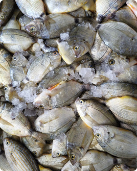 Sbares Fresh ($25/Kg)