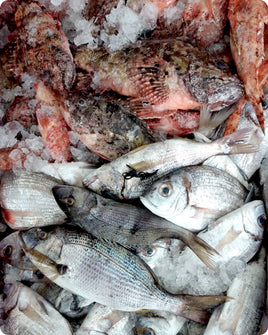 Sergui Fresh ($26/Kg)