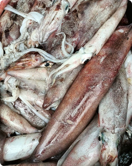 Squid Frozen ($26/KG)