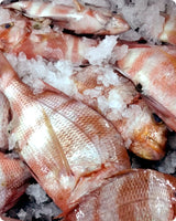 Striped Porgy Fresh ($35/KG)