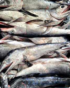 Swordfish Fresh ($35/KG)