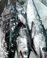 Swordfish Fresh ($35/KG)