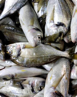 Wild Sea Bream Fresh ($35/kg)