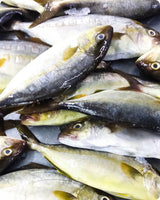 Amberjack Frozen ($20/Kg)