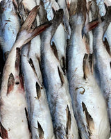 Catfish Frozen (20Kg)