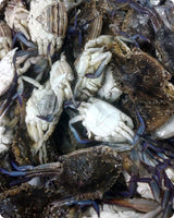 Blue Crab Fresh ($25/Kg)