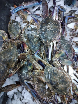 Blue crab Frozen($20/kg)