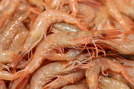 Pink Shrimp Big Fresh ($50/KG)