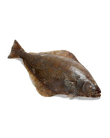 Whole Halibut Frozen ($22/kg)