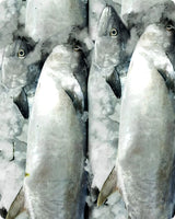 Kingfish Fresh ($32/KG)