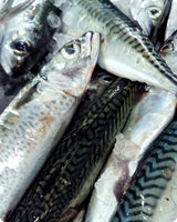 Mackerel Fresh ($26/KG)