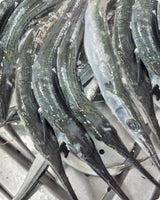 Needlefish Fresh ($28/Kg)