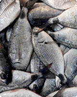 Oblade Fresh ($28/Kg)
