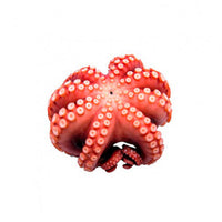Octopus Frozen ($25/Kg)