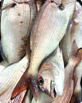 Porgy Fresh ($40/KG)