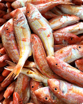 Red Mullet Big Fresh ($40/KG)