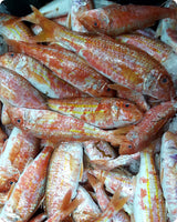 Red Mullet Big Frozen ($32/KG)