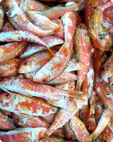 Red Mullet Medium Fresh ($35/KG)