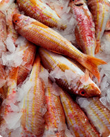 Red Mullet Big Fresh ($40/KG)