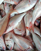 Red Sea Bream Frozen (5KG)