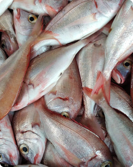 Red Sea Bream Frozen (5KG)