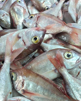 Red Sea Bream Frozen (5KG)