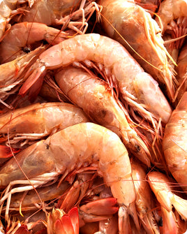 Pink Shrimp Big Fresh ($50/KG)