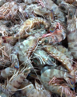 Tiger Shrimp Fresh ($60/KG)