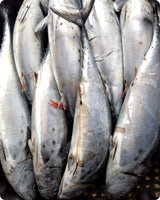 Tuna Fresh ($28/Kg)