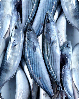 Tuna Fresh ($28/Kg)
