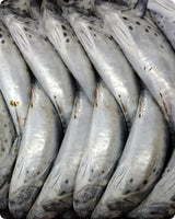 Tuna Big Fresh ($25/Kg)