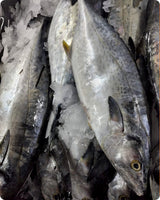Tuna Big Fresh ($25/Kg)
