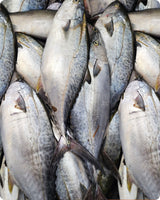 Tuna Big Frozen (5KG)