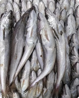 Whiting Fresh ($28/Kg)