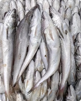 Whiting Frozen (5Kg)