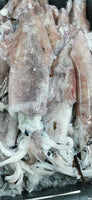 Squid Fresh ($30/Kg)