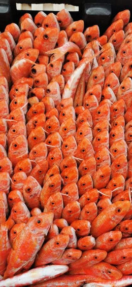 Red Mullet Medium Fresh ($33/KG)