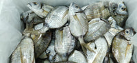 Sbares (5Kg Box)