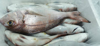 Porgy Fresh ($40/KG)