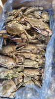 Crab (5Kg Box, $22/Kg)