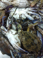 Blue Crab Fresh ($25/Kg)