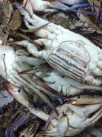 Blue Crab Fresh ($25/Kg)